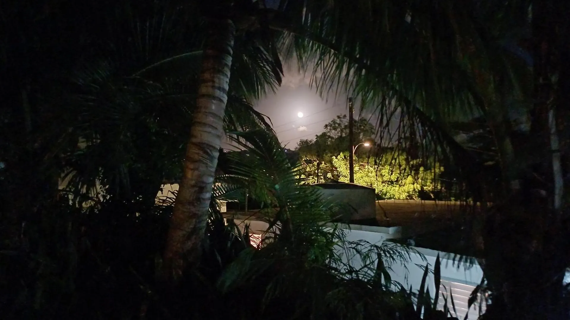 Rooster Run Glamping Camping Has Rooftop And Off The Ground Glamping Experience For 1 To 16 In A Single Tent And Views Of The Rain Forrest And To Culebra Across The Atlantic Ocean W Tents, Linens, Deluxe Air Beds, Warm Shower And More At A Great Pric Vieques Puerto Rico