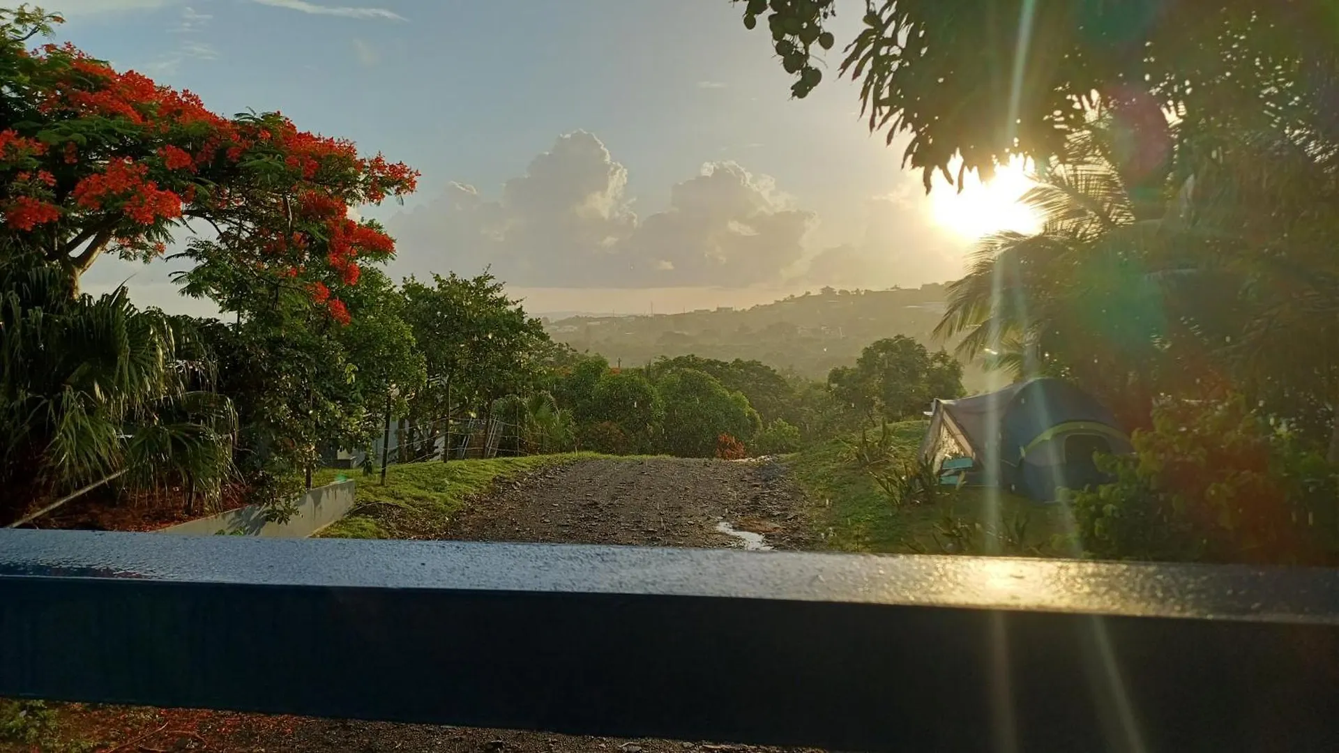 Luxury tent Rooster Run Glamping Camping Has Rooftop And Off The Ground Glamping Experience For 1 To 16 In A Single Tent And Views Of The Rain Forrest And To Culebra Across The Atlantic Ocean W Tents, Linens, Deluxe Air Beds, Warm Shower And More At A Great Pric Vieques