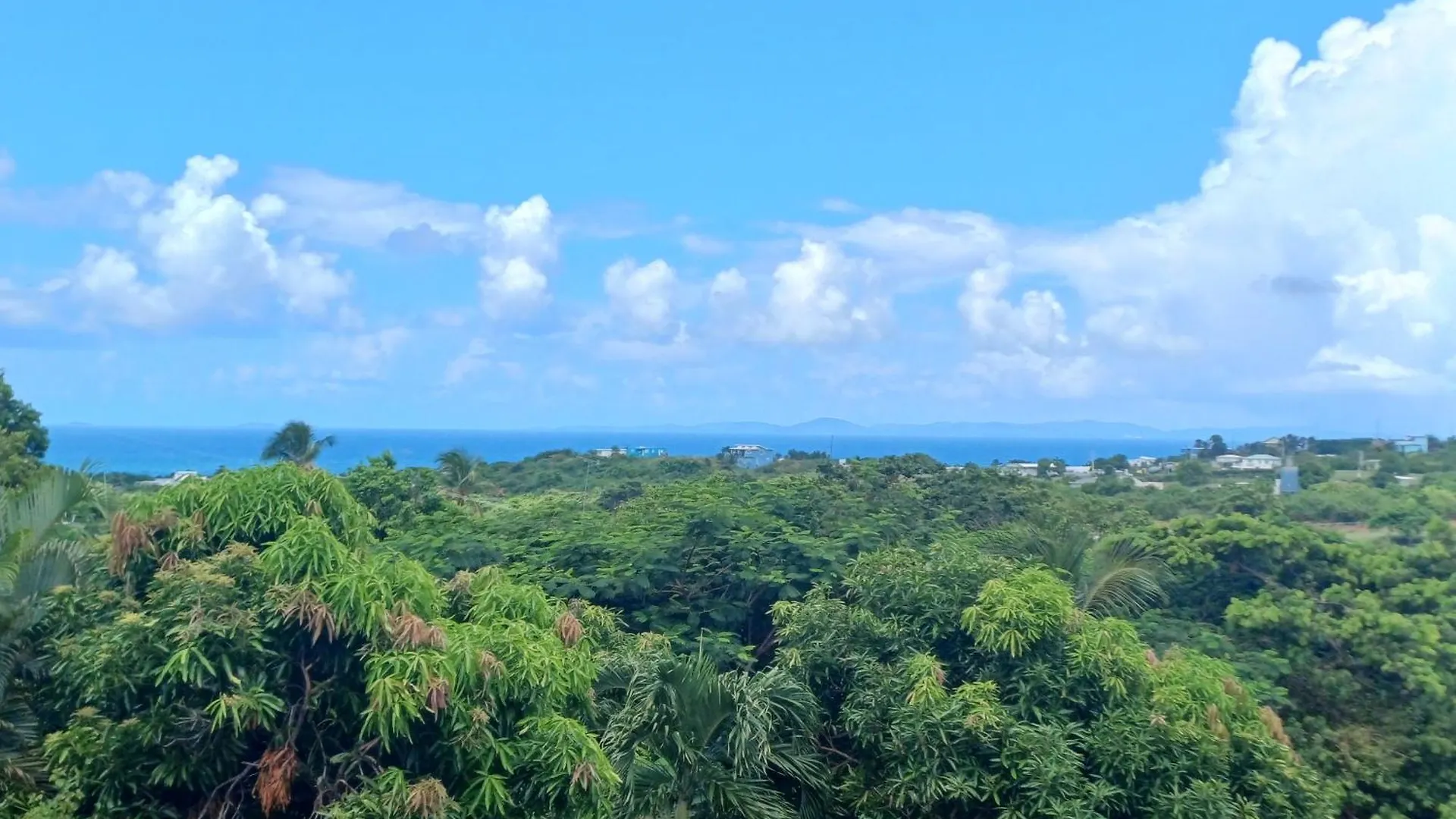Rooster Run Glamping Camping Has Rooftop And Off The Ground Glamping Experience For 1 To 16 In A Single Tent And Views Of The Rain Forrest And To Culebra Across The Atlantic Ocean W Tents, Linens, Deluxe Air Beds, Warm Shower And More At A Great Pric Vieques