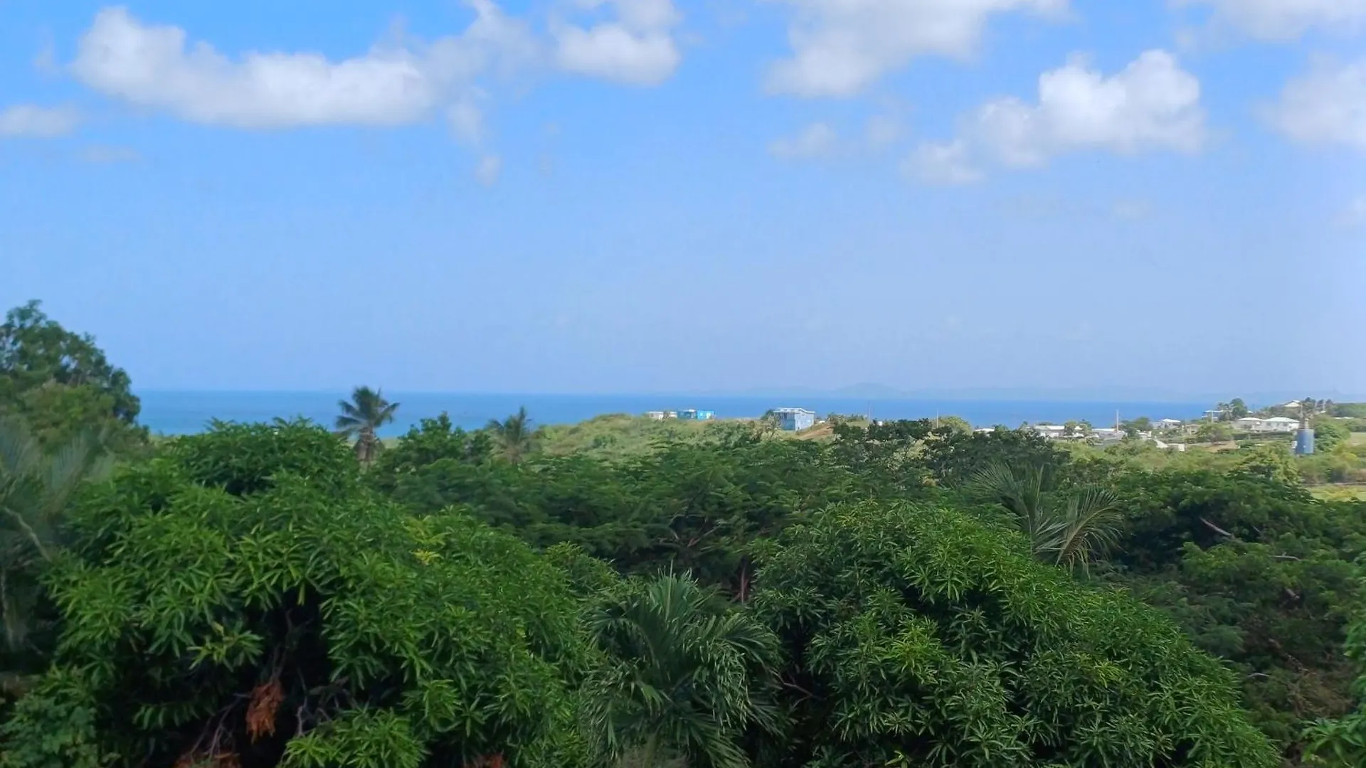Luxury tent Rooster Run Glamping Camping Has Rooftop And Off The Ground Glamping Experience For 1 To 16 In A Single Tent And Views Of The Rain Forrest And To Culebra Across The Atlantic Ocean W Tents, Linens, Deluxe Air Beds, Warm Shower And More At A Great Pric Vieques