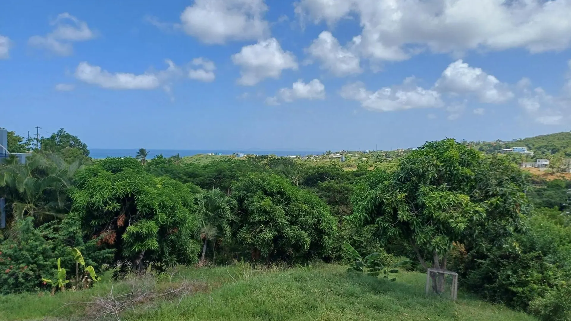 Rooster Run Glamping Camping Has Rooftop And Off The Ground Glamping Experience For 1 To 16 In A Single Tent And Views Of The Rain Forrest And To Culebra Across The Atlantic Ocean W Tents, Linens, Deluxe Air Beds, Warm Shower And More At A Great Pric Vieques 0*,  Puerto Rico