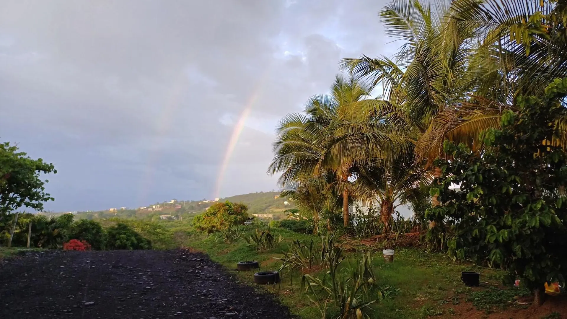 Rooster Run Glamping Camping Has Rooftop And Off The Ground Glamping Experience For 1 To 16 In A Single Tent And Views Of The Rain Forrest And To Culebra Across The Atlantic Ocean W Tents, Linens, Deluxe Air Beds, Warm Shower And More At A Great Pric Vieques 0*,  Puerto Rico