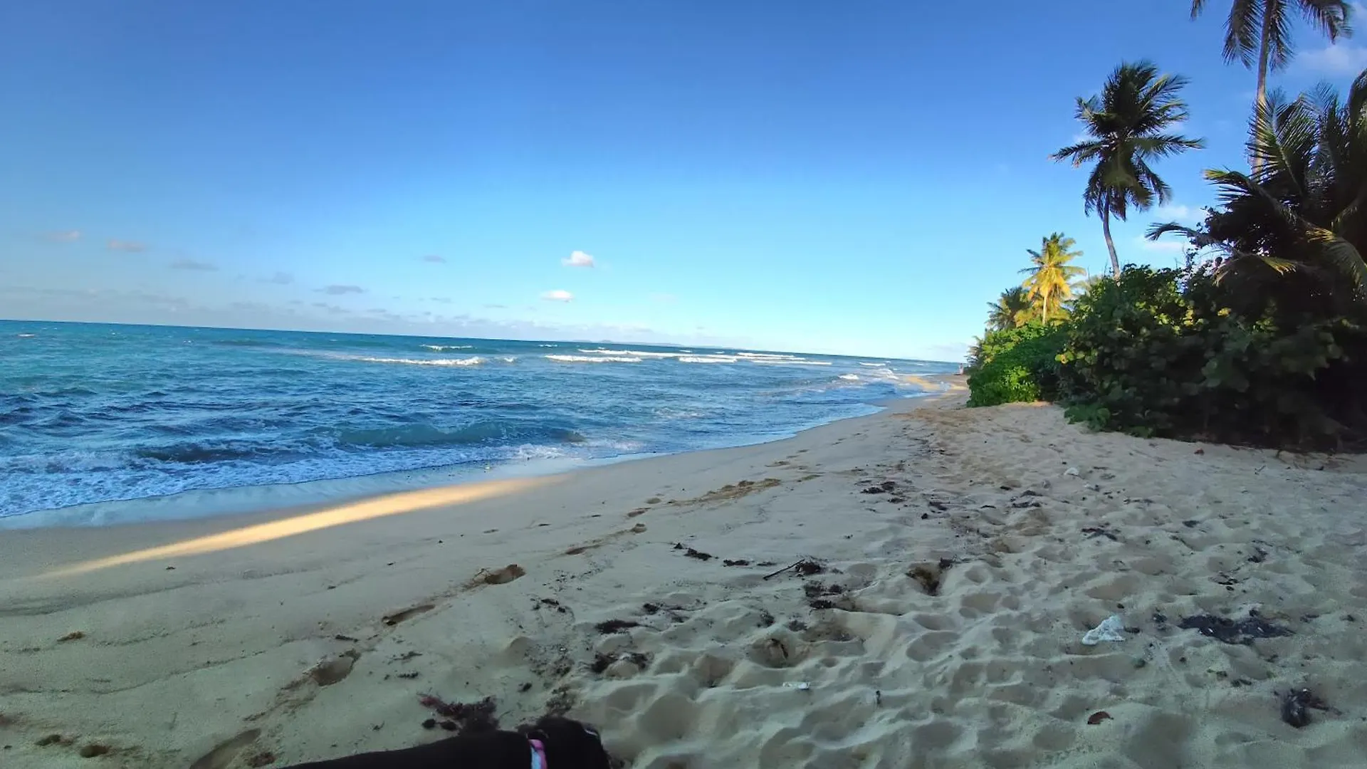 Luxury tent Rooster Run Glamping Camping Has Rooftop And Off The Ground Glamping Experience For 1 To 16 In A Single Tent And Views Of The Rain Forrest And To Culebra Across The Atlantic Ocean W Tents, Linens, Deluxe Air Beds, Warm Shower And More At A Great Pric Vieques