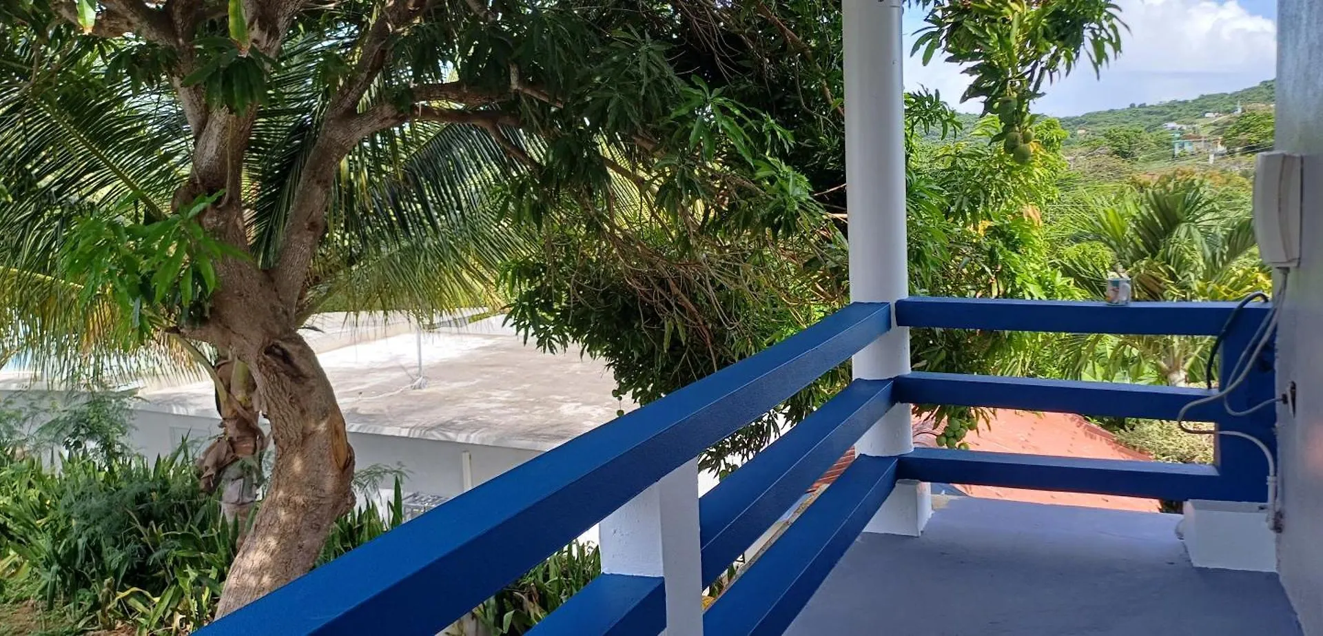 Rooster Run Glamping Camping Has Rooftop And Off The Ground Glamping Experience For 1 To 16 In A Single Tent And Views Of The Rain Forrest And To Culebra Across The Atlantic Ocean W Tents, Linens, Deluxe Air Beds, Warm Shower And More At A Great Pric Vieques