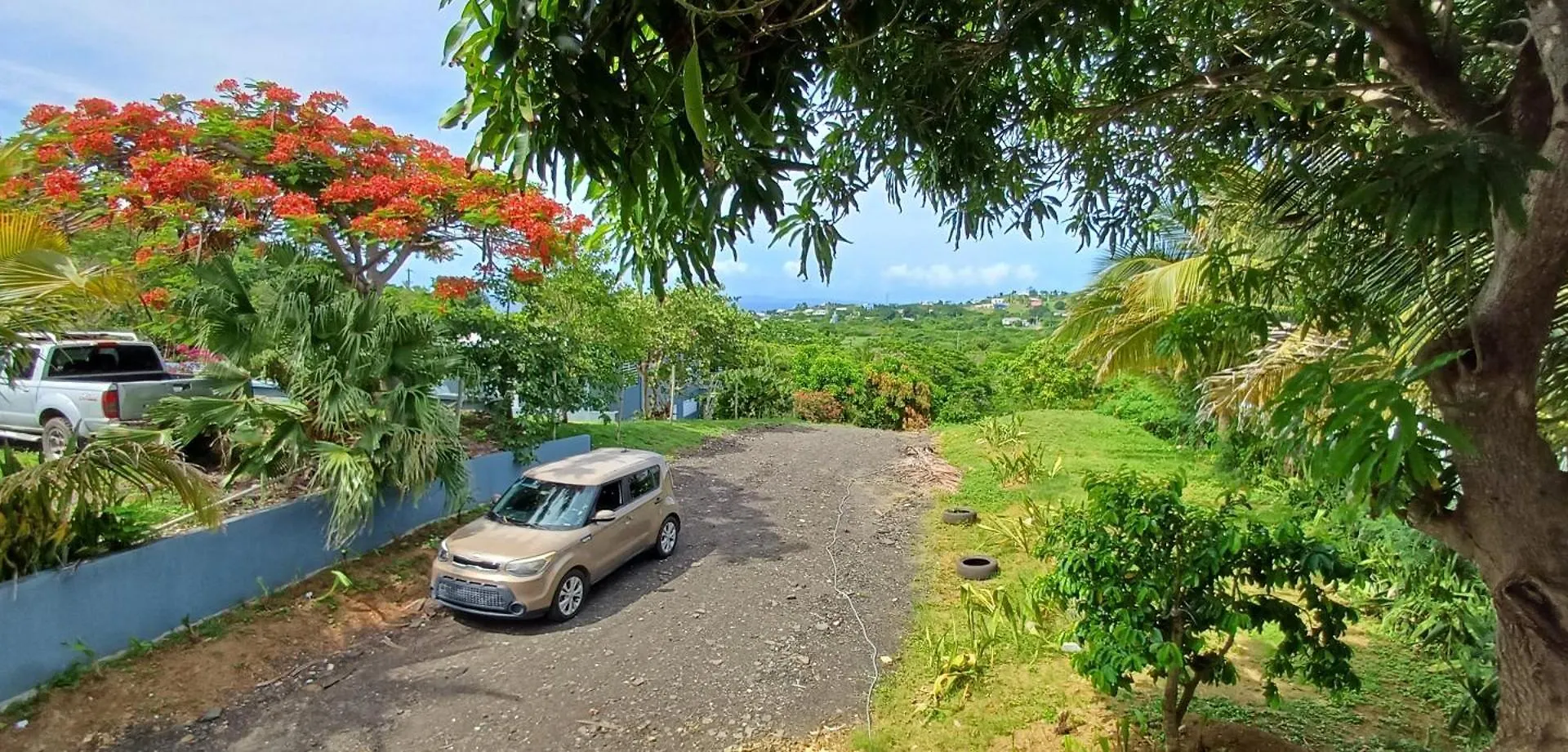 Rooster Run Glamping Camping Has Rooftop And Off The Ground Glamping Experience For 1 To 16 In A Single Tent And Views Of The Rain Forrest And To Culebra Across The Atlantic Ocean W Tents, Linens, Deluxe Air Beds, Warm Shower And More At A Great Pric Vieques Puerto Rico